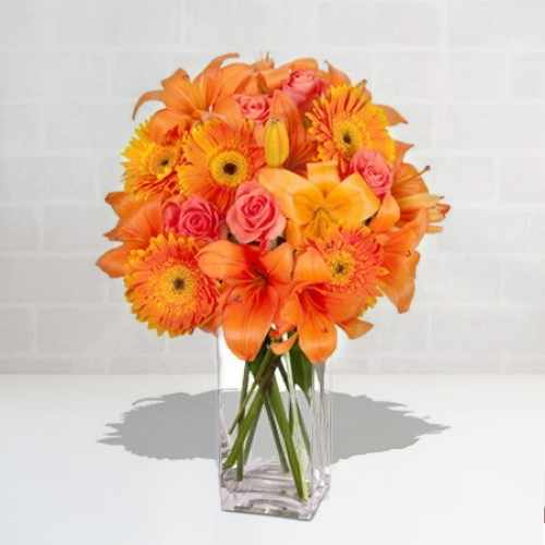 Lily Rose N Gerberas In Vase