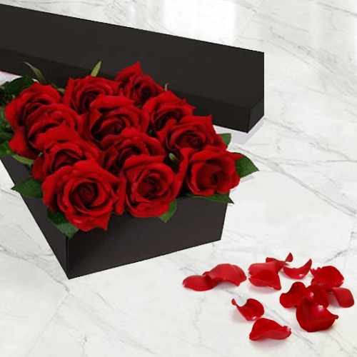 12 Long Stem Premium Red Rose