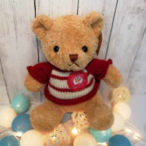 Teddy Bear Wearing Red