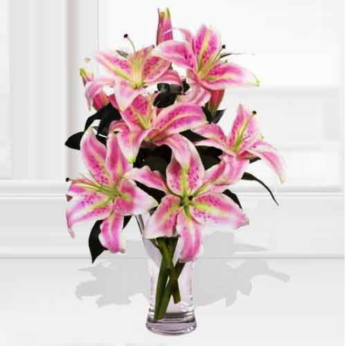 8 Oriental Lilies In Vase